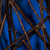 Compilation - New Weird American