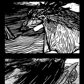 split 7" with Deer in the Headlights