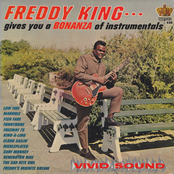 Funnybone by Freddie King