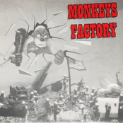 Affluente / Monkeys Factory