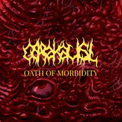 Oath of Morbidity