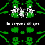 The Serpents Whisper