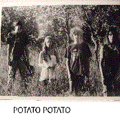 potato potato