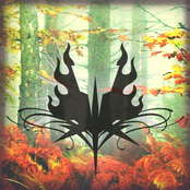 2011 - Breaching The Sound