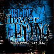 Through the Smoke i've Seen the Truth