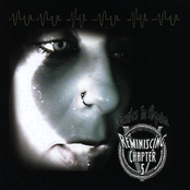 Reminiscing (Chapter 5)