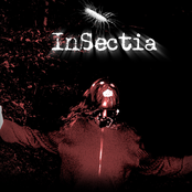 Insectia