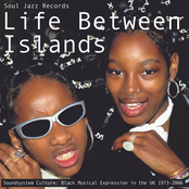 Life Between Islands - Soundsystem Culture: Black Musical Expression in the UK 1973-2006