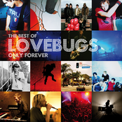 Shine by Lovebugs