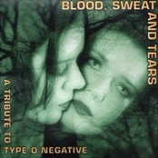 Blood Sweat And Tears - Tribute To Type O Negative
