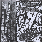 Urinary Dysfunction / Bacteriophagia