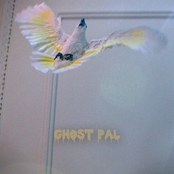 GHOST PAL ONE