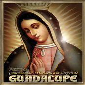 Canciones Con Mariachi A La Virgen De Guadalupe