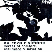 Through The Backyards by Au Revoir Simone