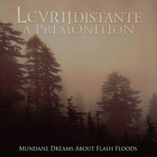 Mundane Dreams About Flash Floods