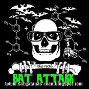Bat Attakk