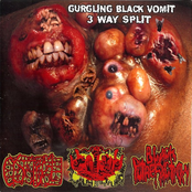 Gurgling Black Vomit