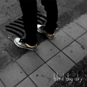 blind dog sky