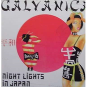 Night Lights In Japan