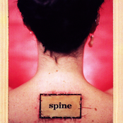 Spine