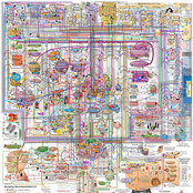 CHOKING HAZARD SMALL PARTS ⠀⃞