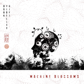 Machine Blossoms