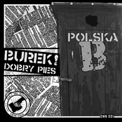 Polska B