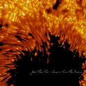 Choose to Live The Question