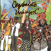 Reggae Medley by Coyabalites