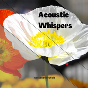 Acoustic Whispers