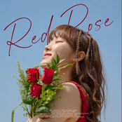 Red Rose