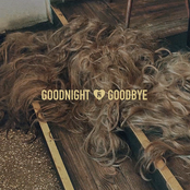 Goodbye. Goodnight