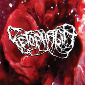 7 Macerating Episodes Of One’s Own Organs