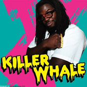 Killer Whale