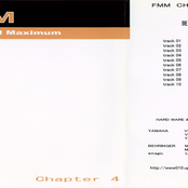 FMM Chapter 4: Ikaruga