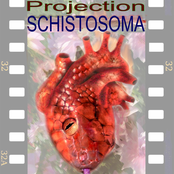 Projection (2007)