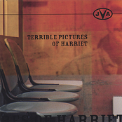 Terrible Pictures of Harriet