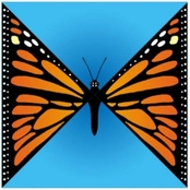 The Journey Through Life