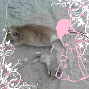 I did it myself, my wrists are also opened