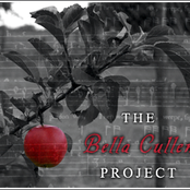 the bella cullen project