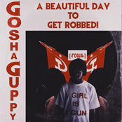 Gosha Guppy: A Beautiful Day to Get Robbed