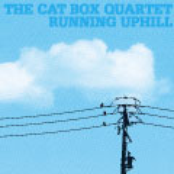 The Cat Box Quartet