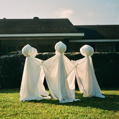 Sharkswimmer: Head Is A Hideout