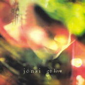 Icicle Sleeves by Jónsi