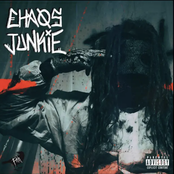 Chaos Junkie