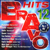 Bravo Hits 12