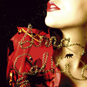 Anna Calvi - Anna Calvi Artwork