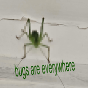 bugs are everywhere