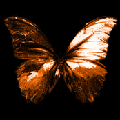 Patient Demos (Deluxe)