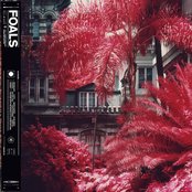 Syrups by Foals
